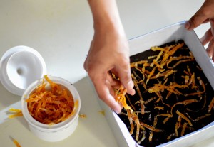 Easy Fudge - Chocolate Orange flavor