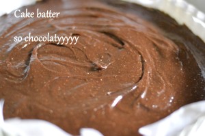 Chocolate Cake - Gluten free flour
