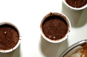 Lava Cake - Quick Dessert