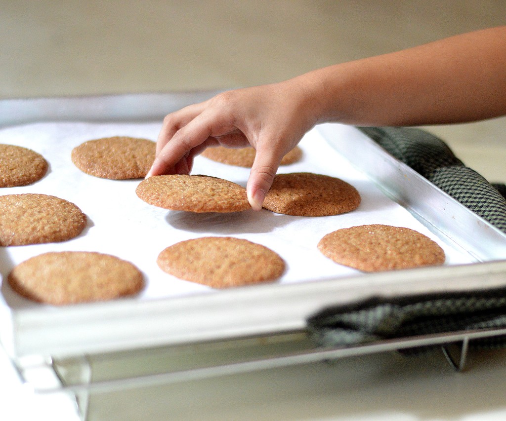 Cookie Chemistry – Ultimate Guide to Best Cookies | Baking Cookies