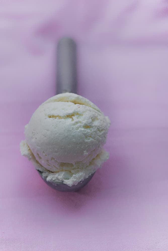 Tender Coconut Ice Cream